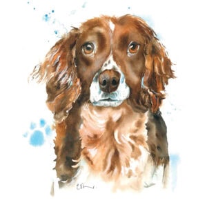 Watercolour painting of a brown dog
