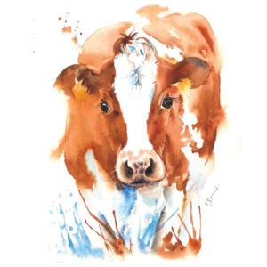 Watercolour painting of a cow