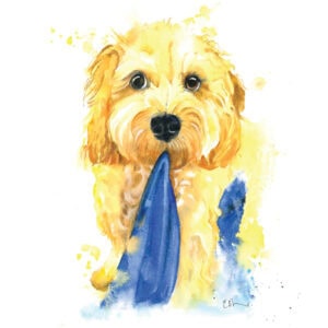 Watercolour painting of a dog with a towel.