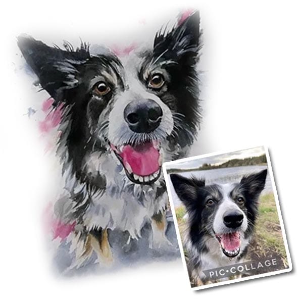 Watercolour dog portrait with a photo inset