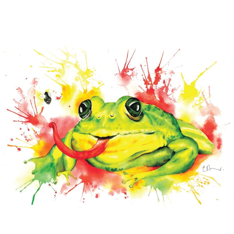 Colourful frog catching fly with tongue
