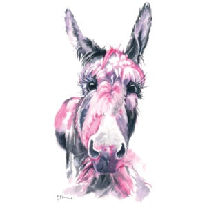Watercolour painting of a donkey with pink accents.