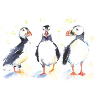 Watercolour painting of three puffins