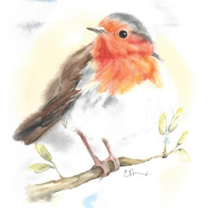 Watercolour robin on branch artwork