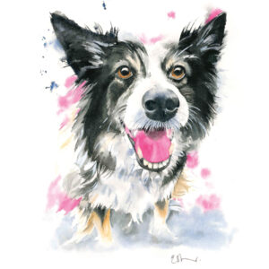 Watercolour painting of a happy dog.