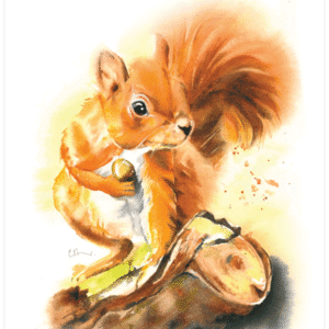 Watercolour painting of squirrel holding an acorn.
